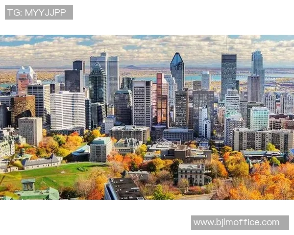 加拿足球明星全景盘点及其辉煌成就与影响力解析