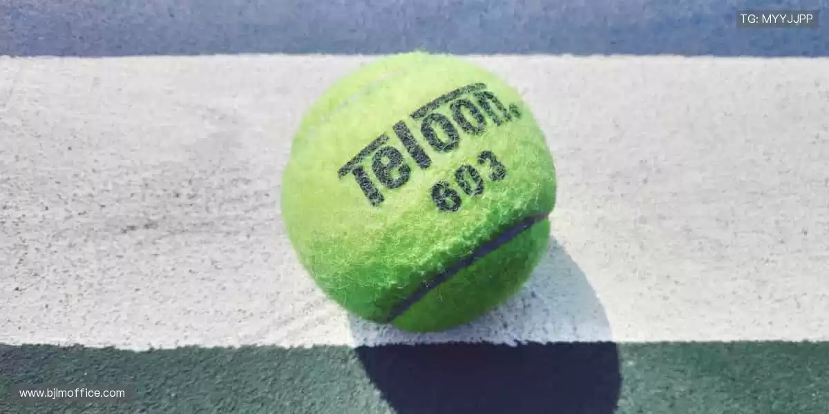 🎉 弹幕、解说、回放,直播乐趣不止于观看!